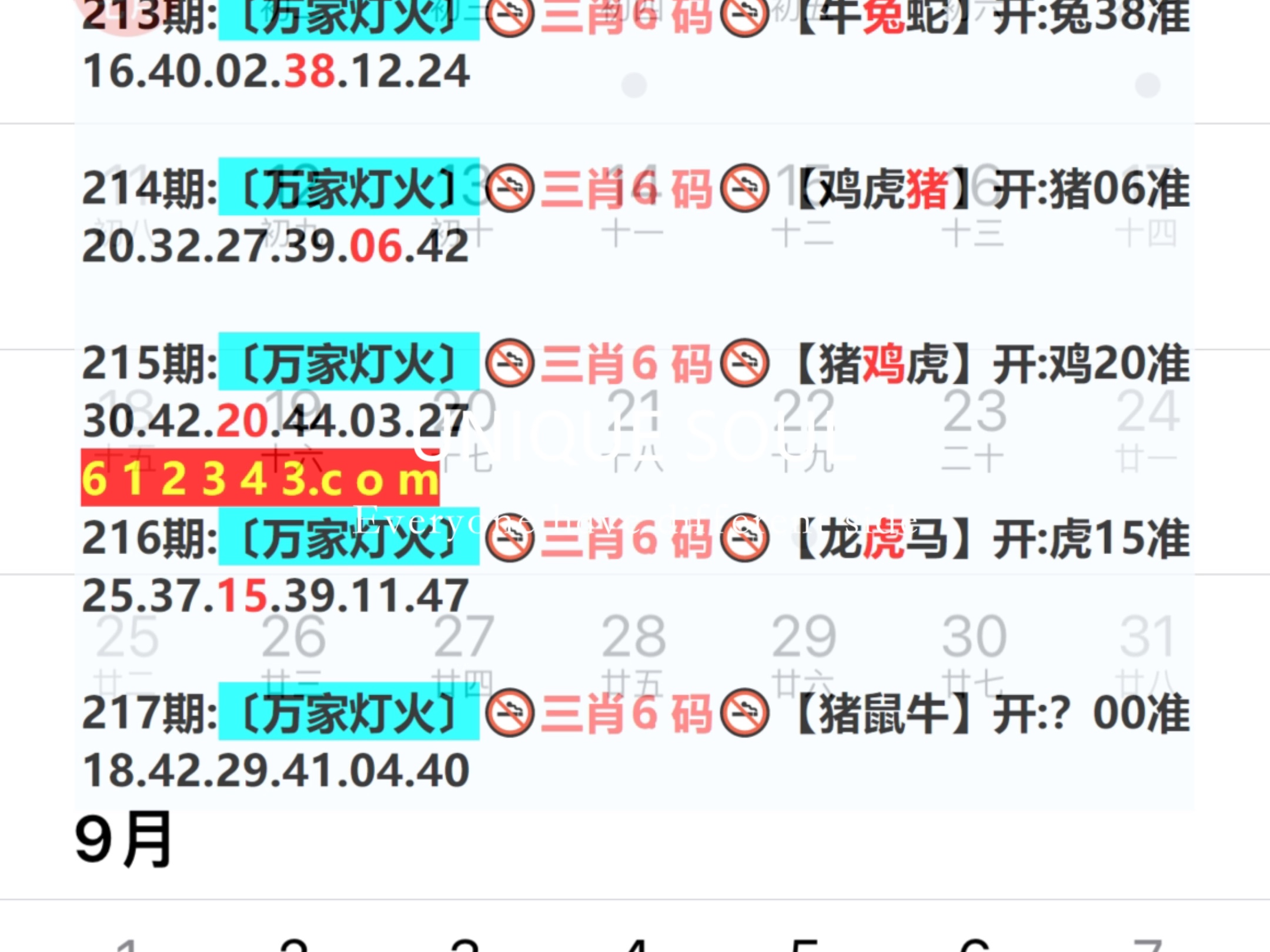 新奧今日六肖中特，揭秘背后的秘密與趨勢分析，揭秘新奧今日六肖中特背后的秘密與趨勢分析