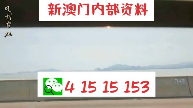 新澳2025最新資料生肖，深度解析與預(yù)測展望，新澳2025最新生肖資料深度解析與未來預(yù)測展望