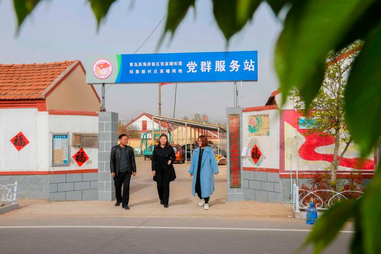 2025新澳天天開彩大全——衣冠群獸探秘，2025新澳天天開彩大全，衣冠群獸探秘之旅
