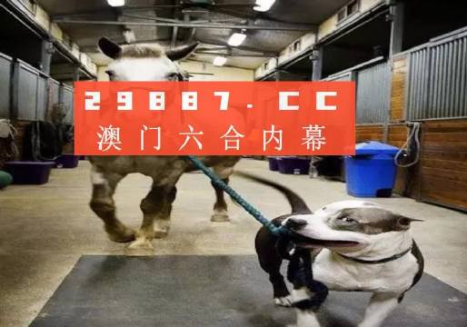 澳門一肖一碼一必中一肖，同舟前進的奧秘與策略，澳門一肖一碼必中策略與前進奧秘，同舟共濟的揭秘與策略