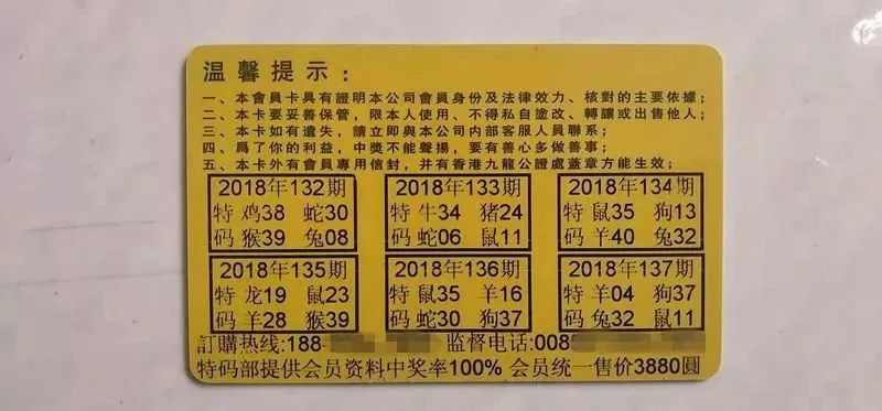 香港中特期期準(zhǔn)資料，深度解析與探索，香港中特期期準(zhǔn)資料深度解析與探索報(bào)告