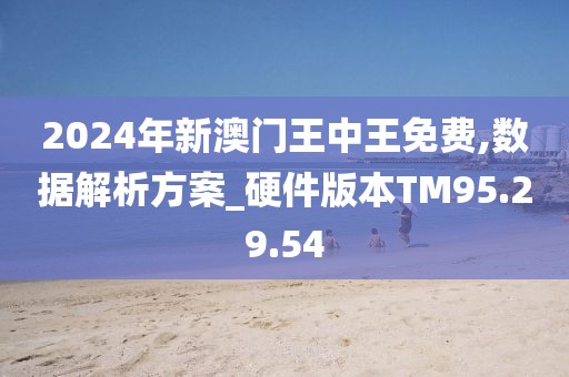 揭秘未來之星，2025新澳王中王，揭秘未來之星，2025新澳王中王風采展示