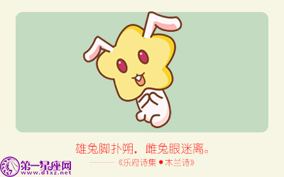 揭秘精準(zhǔn)生肖，探尋神奇的數(shù)字組合777778與888888背后的生肖秘密，揭秘生肖秘密，數(shù)字組合777778與888888背后的生肖傳奇