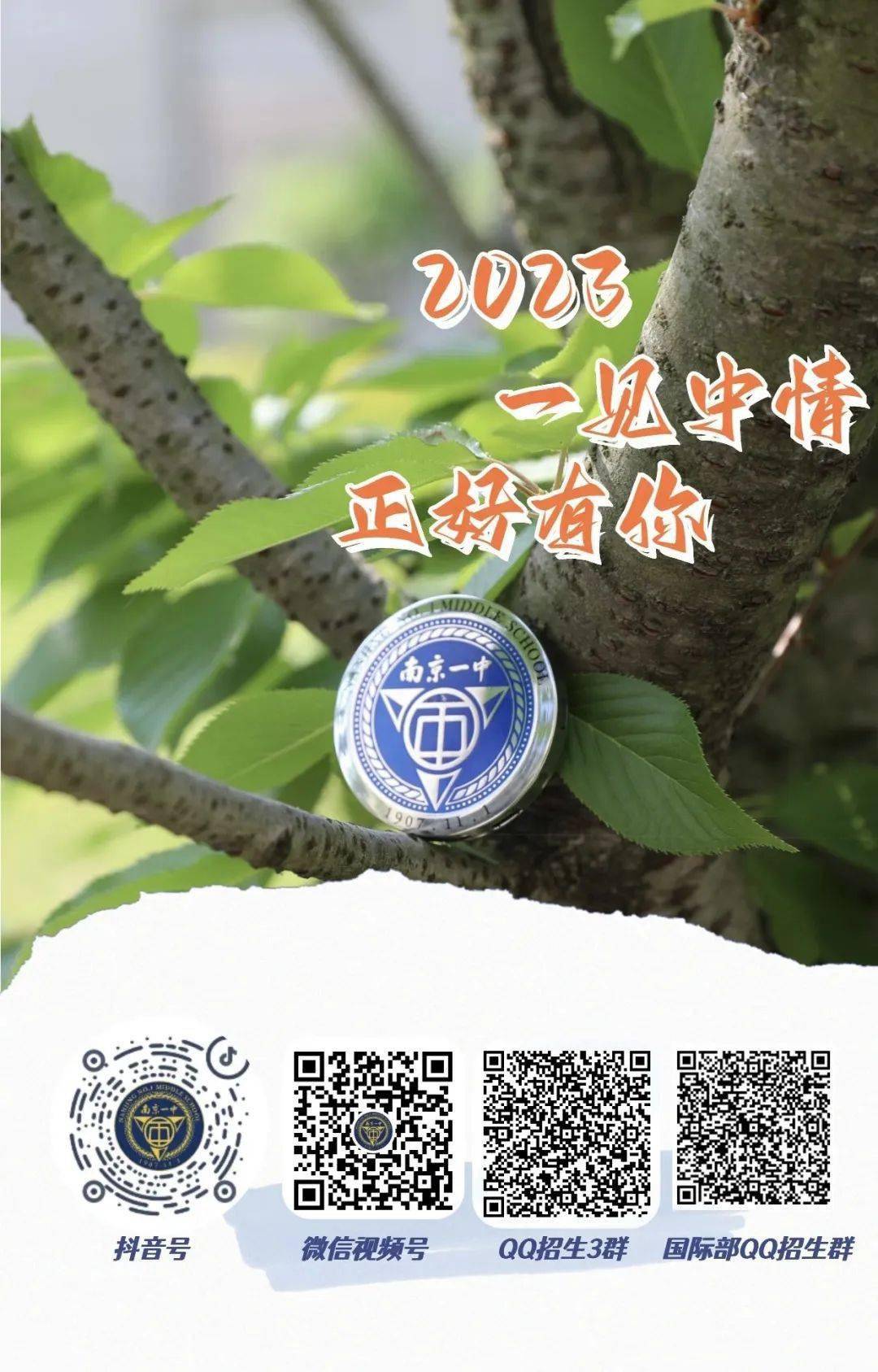 一碼一肖一特一中，揭秘背后的秘密與奧秘，揭秘一碼一肖一特一中背后的秘密奧秘