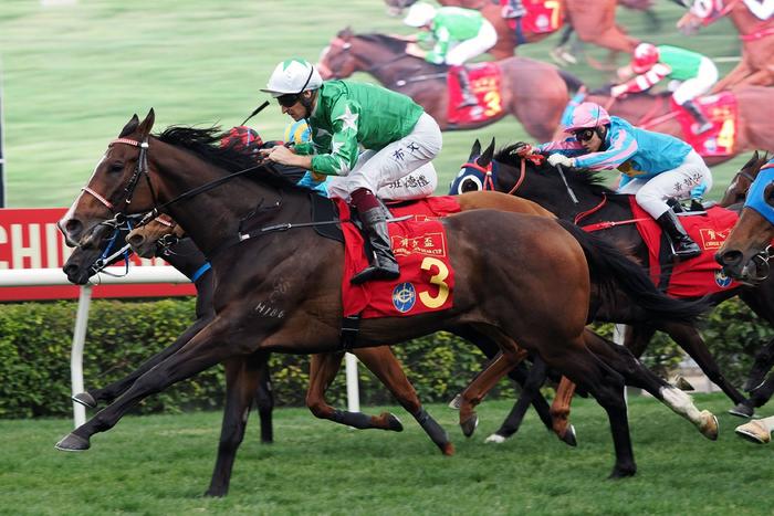 探索香港馬官網(wǎng)，一站式體驗7777788888的賽馬世界，探索香港馬官網(wǎng)，一站式賽馬世界體驗