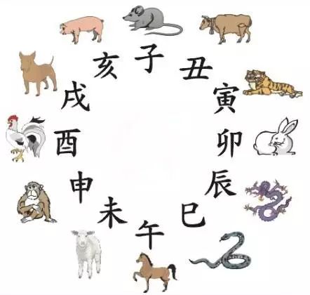 澳門天天彩期期精準十二生肖預測——揭秘彩票秘密，澳門天天彩期期精準十二生肖預測，揭秘彩票秘密之獨家解析