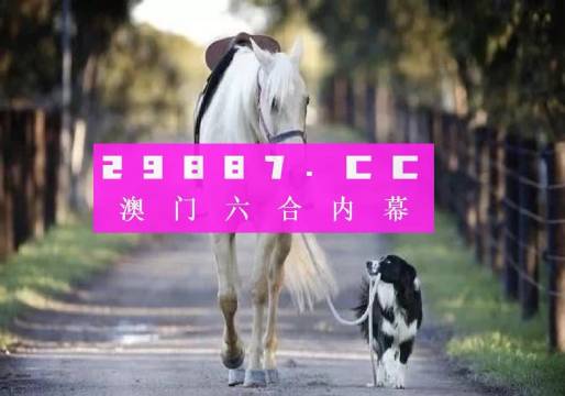 澳門彩的奧秘世界與SEO優(yōu)化策略探討 —— www.04812com的獨家解析，澳門彩奧秘與SEO優(yōu)化策略獨家解析，www.04812com深度探討