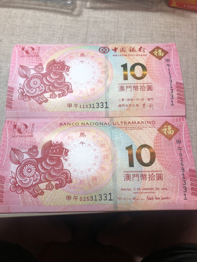 揭秘明天澳門必中生肖的神秘面紗，揭秘明天澳門必中生肖的神秘秘密