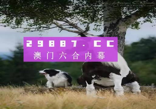 揭秘7777788888精準(zhǔn)新跑狗——全方位解讀與體驗(yàn)，揭秘精準(zhǔn)新跑狗，全方位解讀與體驗(yàn)7777788888跑狗秘籍