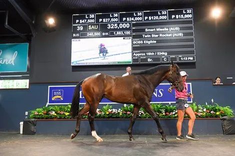 香港最精準的特馬資料，揭秘賽馬世界的秘密，香港精準特馬資料揭秘，賽馬世界的奧秘探秘