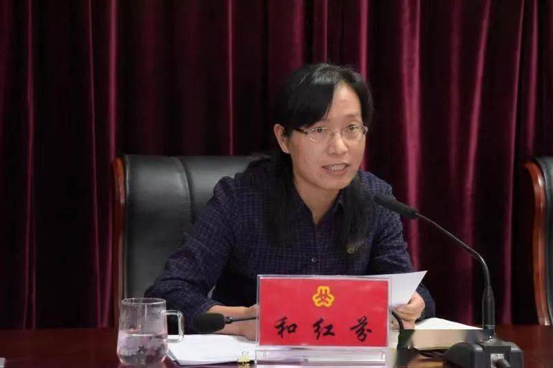 二四六香港期期中的資料解析與SEO優(yōu)化策略，香港期期二四六資料解析與SEO優(yōu)化策略探討