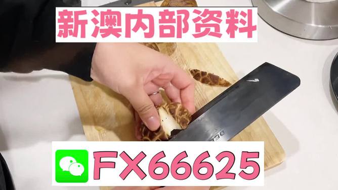 澳門九點(diǎn)半9點(diǎn)半網(wǎng)站——探索其魅力與優(yōu)勢，澳門九點(diǎn)半網(wǎng)站，魅力與優(yōu)勢探索