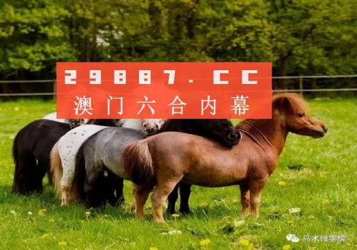 一馬中特內(nèi)部精準(zhǔn)資料免費(fèi)大公開，揭秘行業(yè)秘密，助力個人成長，揭秘行業(yè)秘密，一馬中特內(nèi)部精準(zhǔn)資料大公開，助力個人成長免費(fèi)獲取