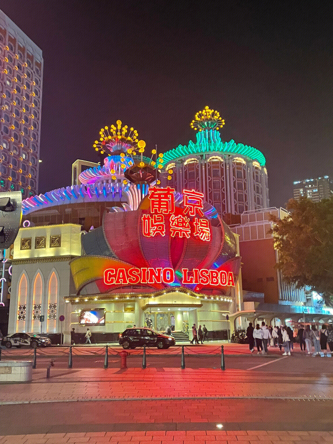 澳門今晚必開一肖一特芳草地，探索生肖與運勢的神秘面紗，澳門生肖運勢揭秘，探索今晚必開一肖一特芳草地神秘面紗的運勢之旅