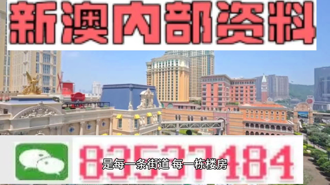 新澳門最精準正最精準龍門——探索澳門的魅力與機遇，澳門魅力與機遇探索，新澳門最精準龍門