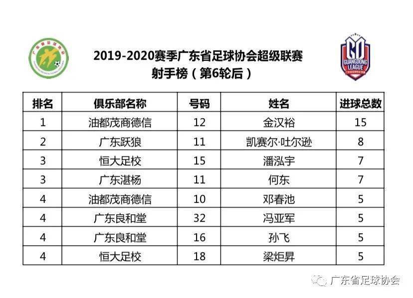 澳門六開獎結(jié)果2020年回顧與解析，澳門六開獎結(jié)果回顧與解析，2020年數(shù)據(jù)深度解讀