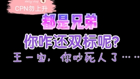 一肖二肖是什么意思——深度解析中國(guó)民俗中的生肖文化，深度解析中國(guó)民俗中的生肖文化，一肖二肖的含義與故事