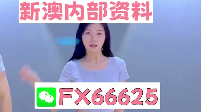 新澳門精準(zhǔn)資料大全——管家婆料解析與探索，澳門精準(zhǔn)資料大全，管家婆料解析與深度探索