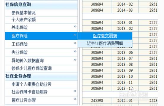 2025新澳門(mén)歷史記錄查詢完全指南，澳門(mén)歷史記錄查詢完全指南（2025版）