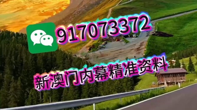 王中王一肖一中特，深度解析與SEO優(yōu)化策略，王中王一肖一中特深度解析與SEO優(yōu)化策略探討