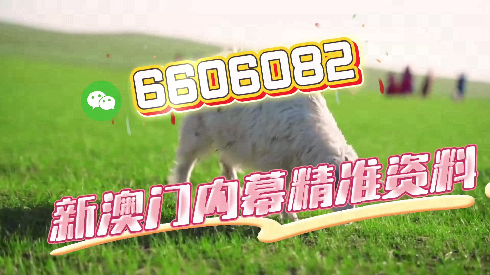 澳門三肖三碼期期準(zhǔn)免費——揭秘真相與秘密，澳門三肖三碼期期準(zhǔn)揭秘，真相與秘密大揭秘