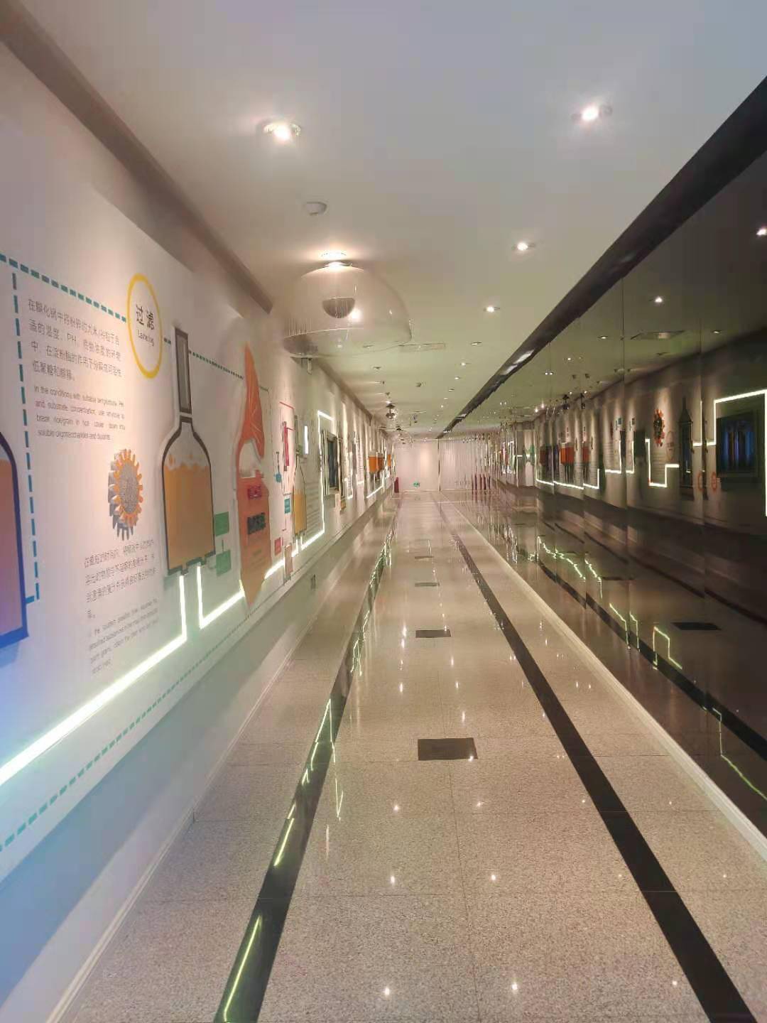 澳門一碼一肖一待一中四不像——揭開神秘面紗下的真相，澳門神秘事件揭秘，一碼一肖一待一中四不像真相探索