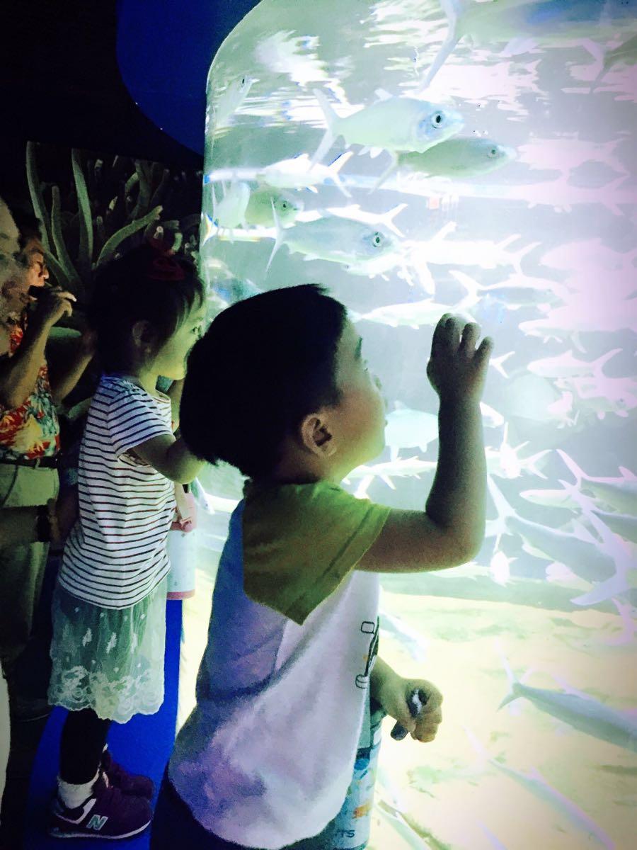 大連兩日游攻略，探索這座城市的魅力，大連兩日游攻略，探尋城市魅力之旅