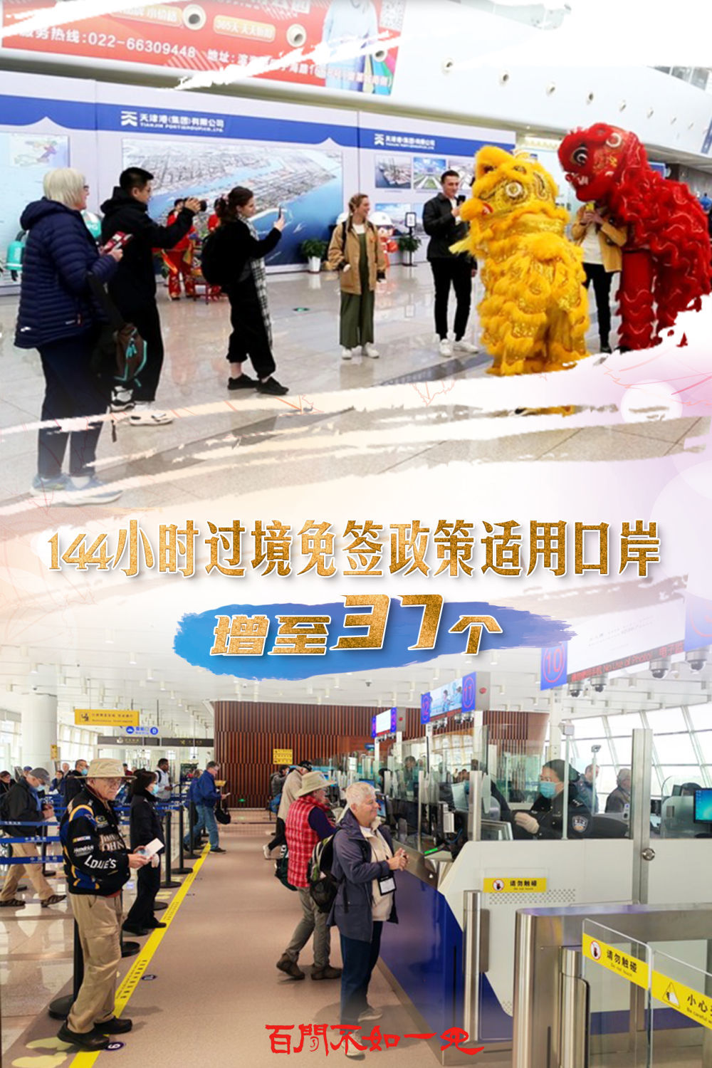 澳門王中王，揭秘一肖一特一中奧秘，澳門王中王揭秘生肖秘密，一肖一特一中奧秘探秘