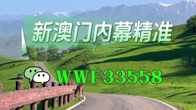 澳門精準(zhǔn)免費大全，探索未來的預(yù)測與機遇（2025年展望），澳門未來展望，精準(zhǔn)預(yù)測與機遇探索（2025年）
