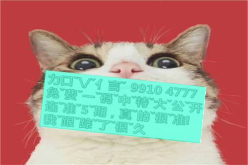 一肖啥意思，深度解析與SEO優(yōu)化文章，一肖含義深度解析與SEO優(yōu)化策略探討