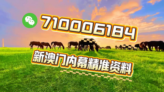 澳門今晚必開一肖一特，探索生肖與特碼預測的背后秘密，揭秘澳門今晚生肖與特碼預測背后的秘密