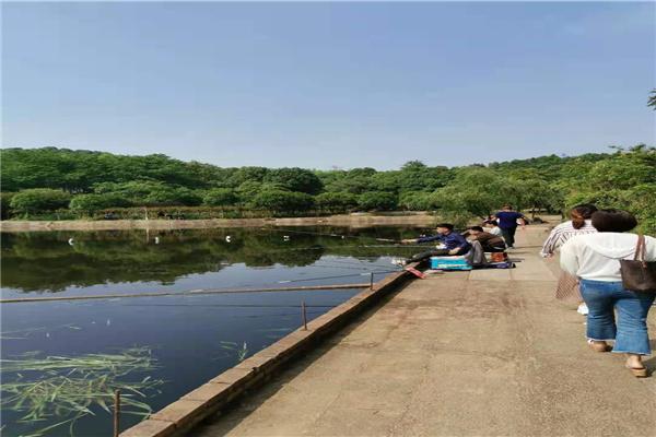 長沙市內(nèi)一日游，探尋千年古都的魅力之旅，長沙一日探秘千年古都之旅