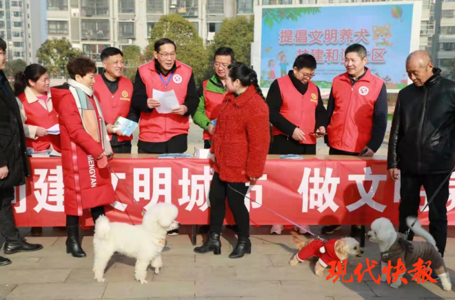 急先鋒澳門六肖，深度解析與探索，澳門六肖急先鋒，深度解析與探索