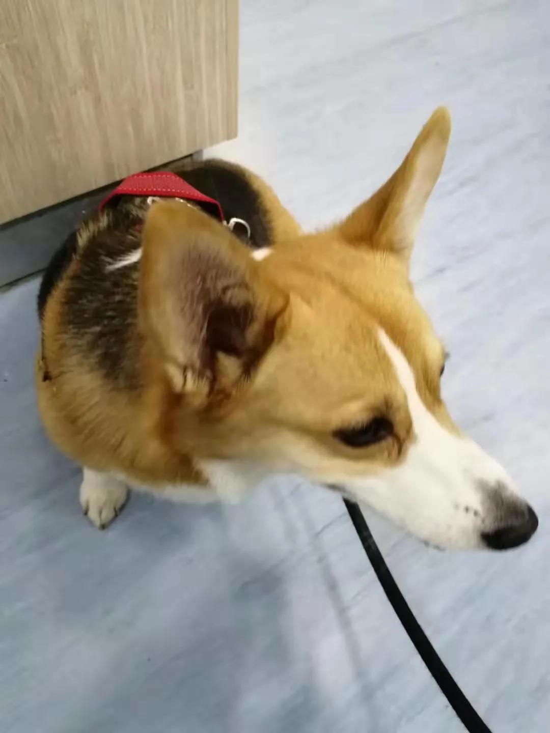 腎炎，深入了解與治療策略，腎炎，全面解析與治療指南