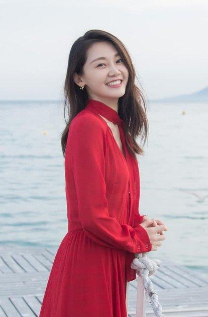 苗苗演過(guò)的電視劇，演藝之路的璀璨之星，苗苗演藝之路，電視劇中的璀璨之星