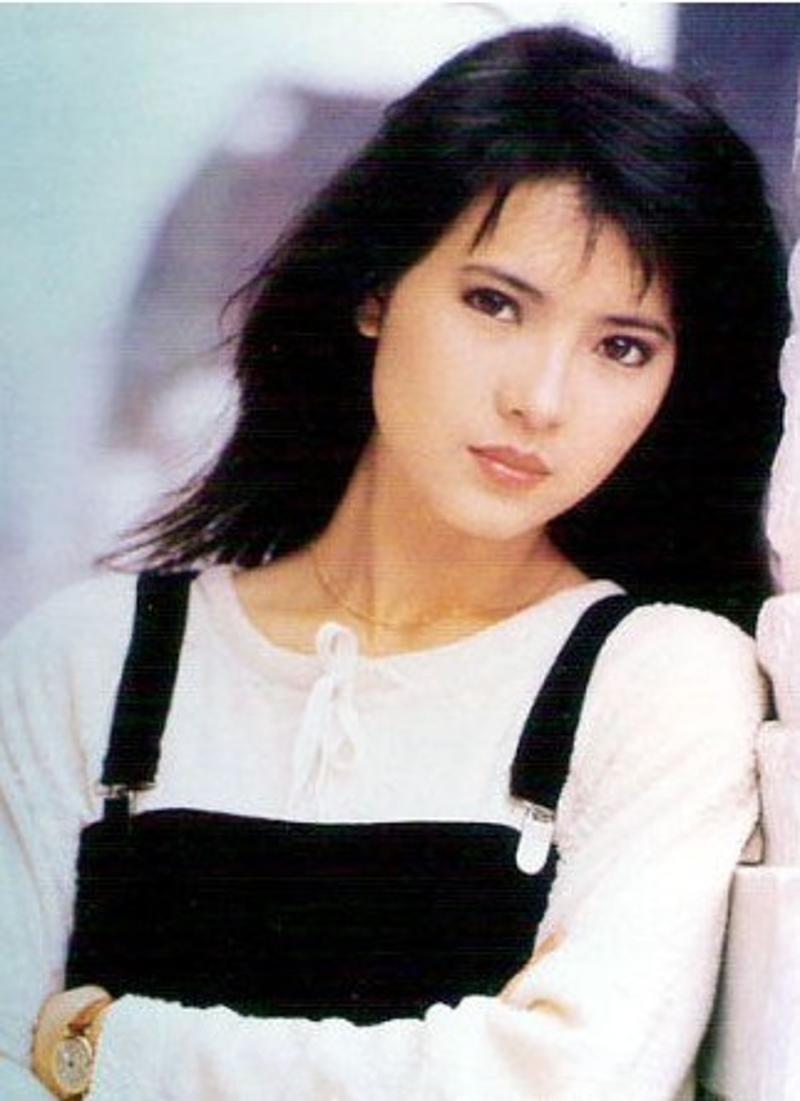 藍潔瑛個人簡歷資料，藍潔瑛個人簡歷資料概覽