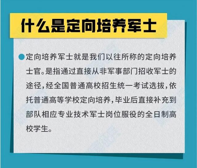 直招士官為什么是個坑？深度解析背后的原因，直招士官背后的原因深度解析，為何成為坑？