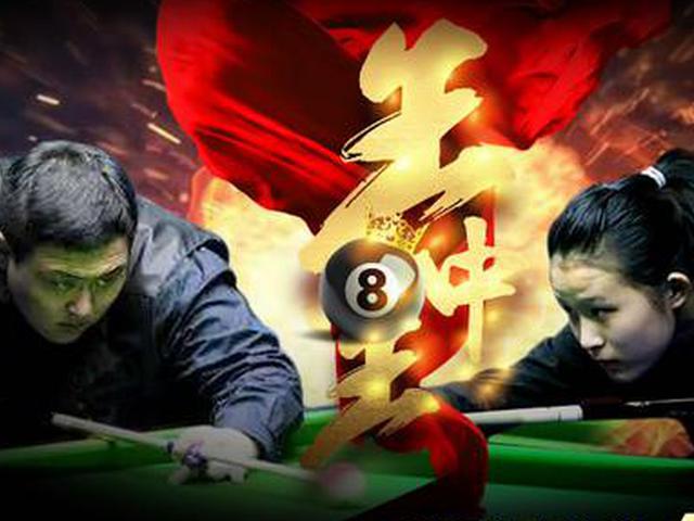 王中王一肖精準(zhǔn)資料大全，揭秘背后的秘密，王中王一肖資料揭秘，背后的秘密全解析