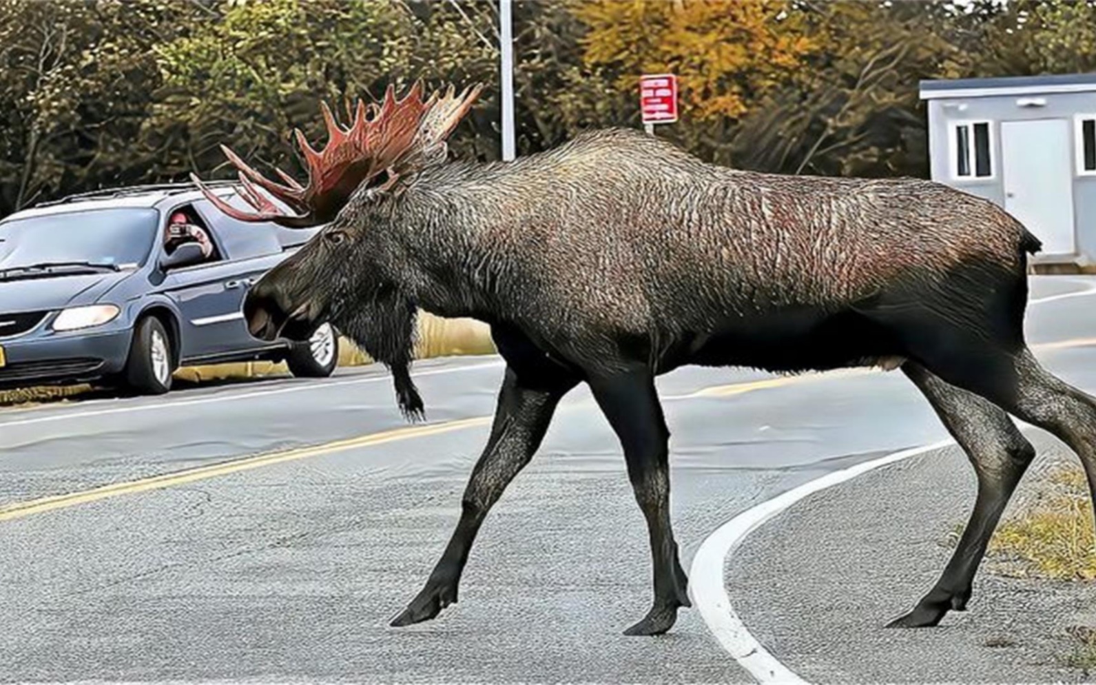 深度探索與解析 第5頁