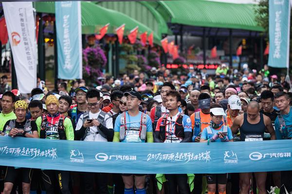 一肖平特王中王，揭秘彩票背后的秘密與策略，揭秘彩票背后的秘密與策略，一肖平特王中王之選