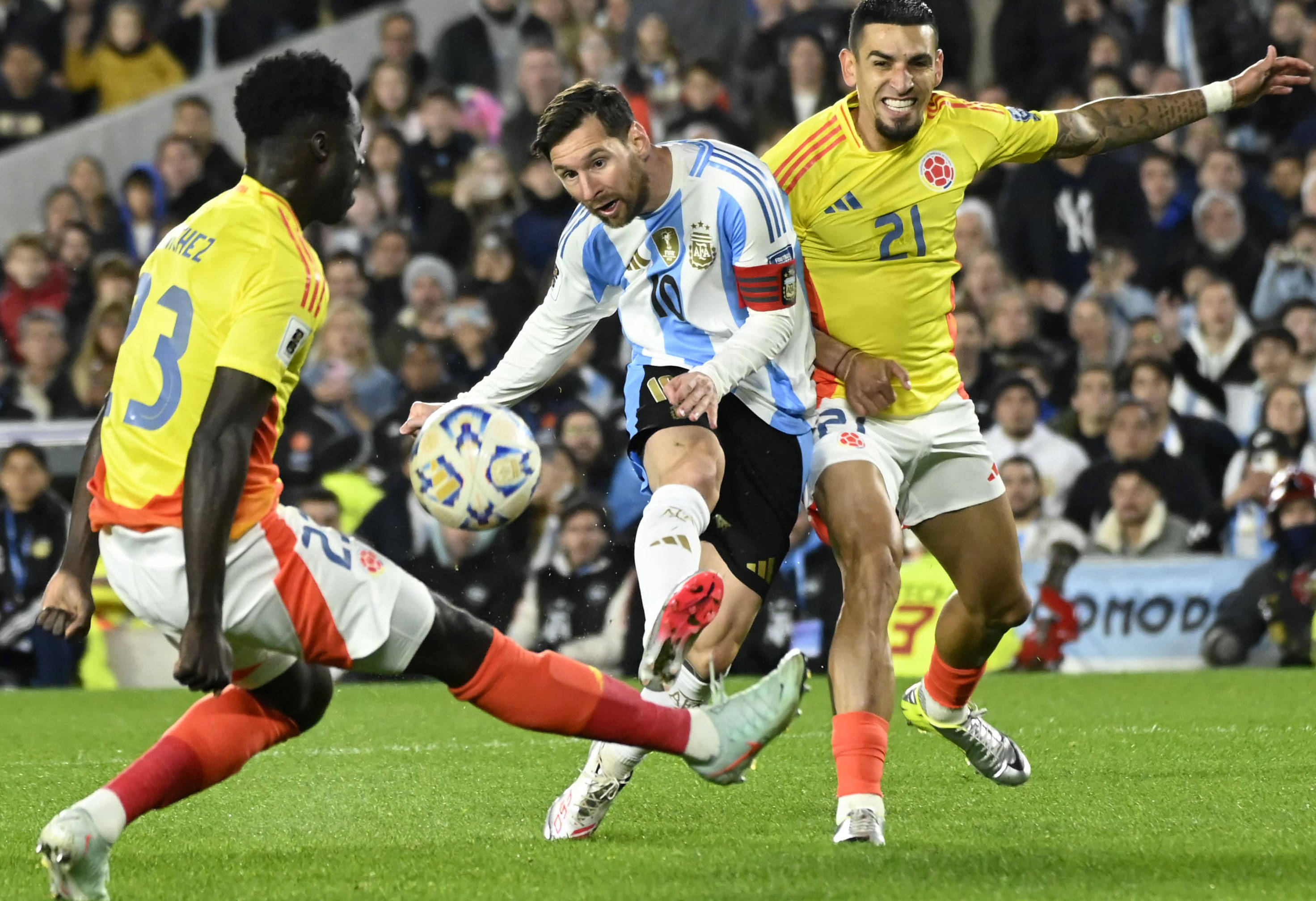 王中王077期一肖特種，深度解析與SEO優(yōu)化策略，王中王077期生肖特種深度解析與SEO優(yōu)化策略探討