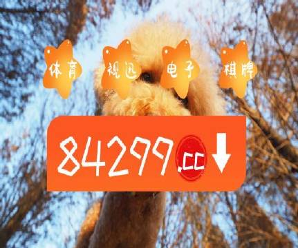 澳門天天六開彩正版澳門，探索正版彩票的魅力與重要性，澳門正版彩票的魅力與重要性，天天六開彩探索之旅