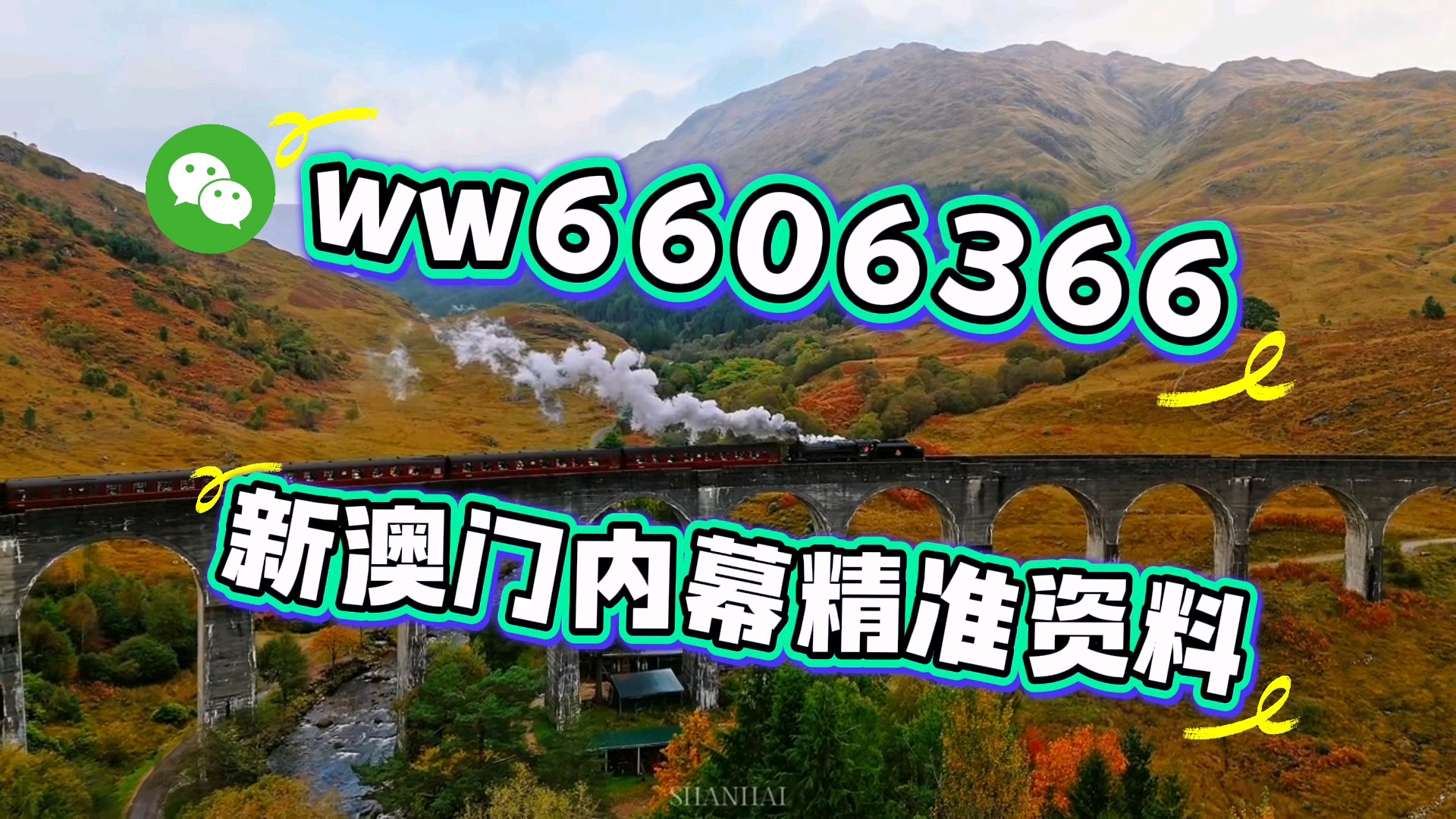 新澳門今晚開獎結(jié)果及2021年11月開獎結(jié)果回顧，澳門近期開獎結(jié)果回顧，今晚開獎及11月開獎一覽