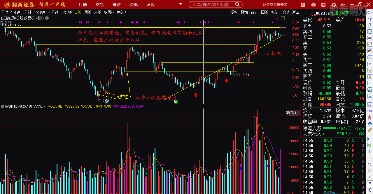 仙琚制藥股票（代碼，002332）深度解析，仙琚制藥股票深度解析（代碼，002332）