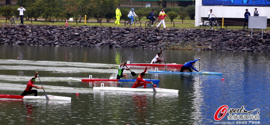 王中王一肖一馬期期中特，深度解析與SEO優(yōu)化策略，王中王一肖一馬期期中特深度解析與SEO優(yōu)化策略指南