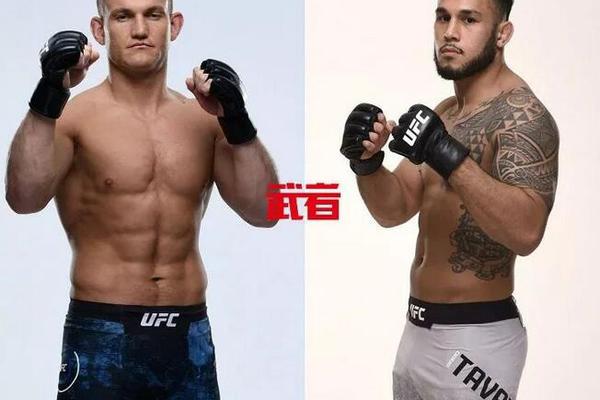 澳門(mén)六開(kāi)獎(jiǎng)結(jié)果記錄圖，探索彩票背后的秘密，澳門(mén)六開(kāi)獎(jiǎng)結(jié)果記錄圖揭秘彩票背后的秘密