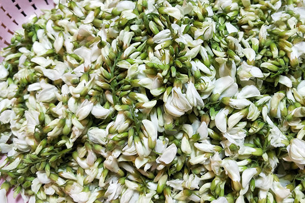 槐花的吃法與做法大全，槐花的吃法與烹飪指南大全