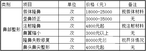 鼻子美容手術(shù)費用詳解，多少錢？，鼻子美容手術(shù)費用全面解析，手術(shù)費用究竟是多少？