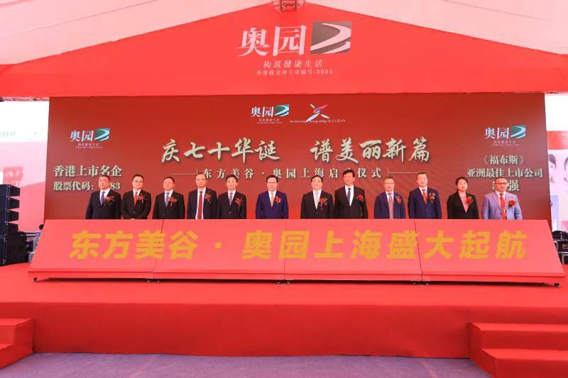 奧園美谷股票，投資潛力與前景展望，奧園美谷股票投資潛力與前景展望分析