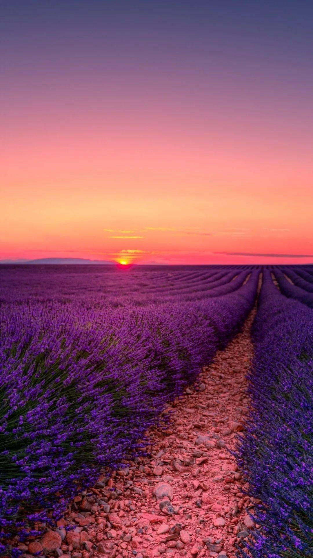 揭秘劉伯溫一肖六碼中特之謎，探尋背后的故事與真相，劉伯溫一肖六碼中特背后的故事與真相揭秘